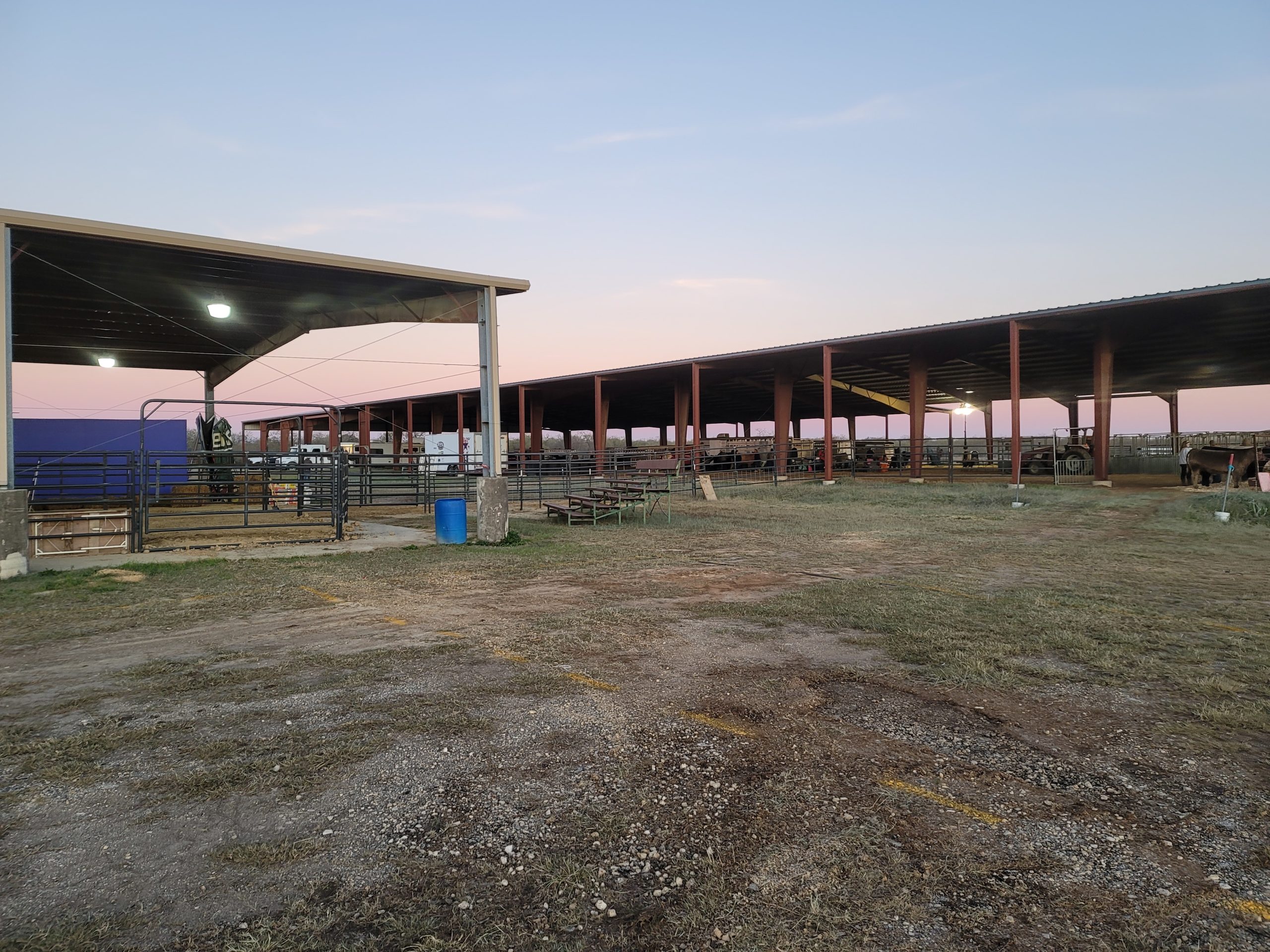 20221227_072342 | Bexar County Junior Livestock Show